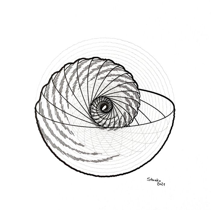 Space Armadillo